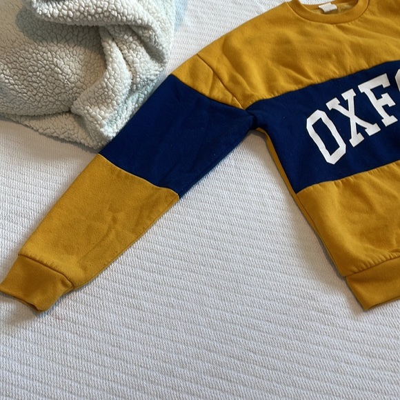 Oxford sweatshirt/hoodie. - Picture 2 of 4